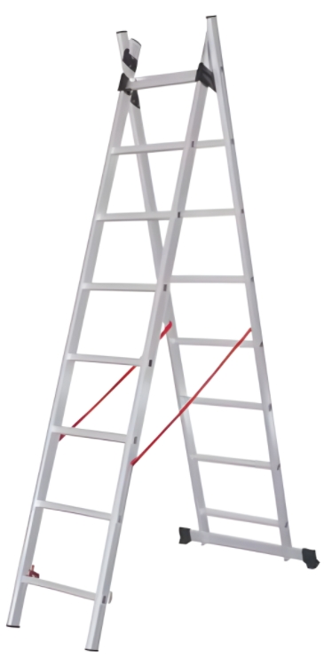 31 2 SECTION EXTENSION LADDER